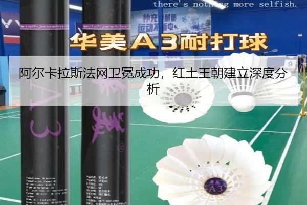 a-er-ka-la-si-fa-wang-wei-mian-cheng-gong-hong-tu-wang-chao-jian-li-shen-du-fen-xi-1-315.jpg